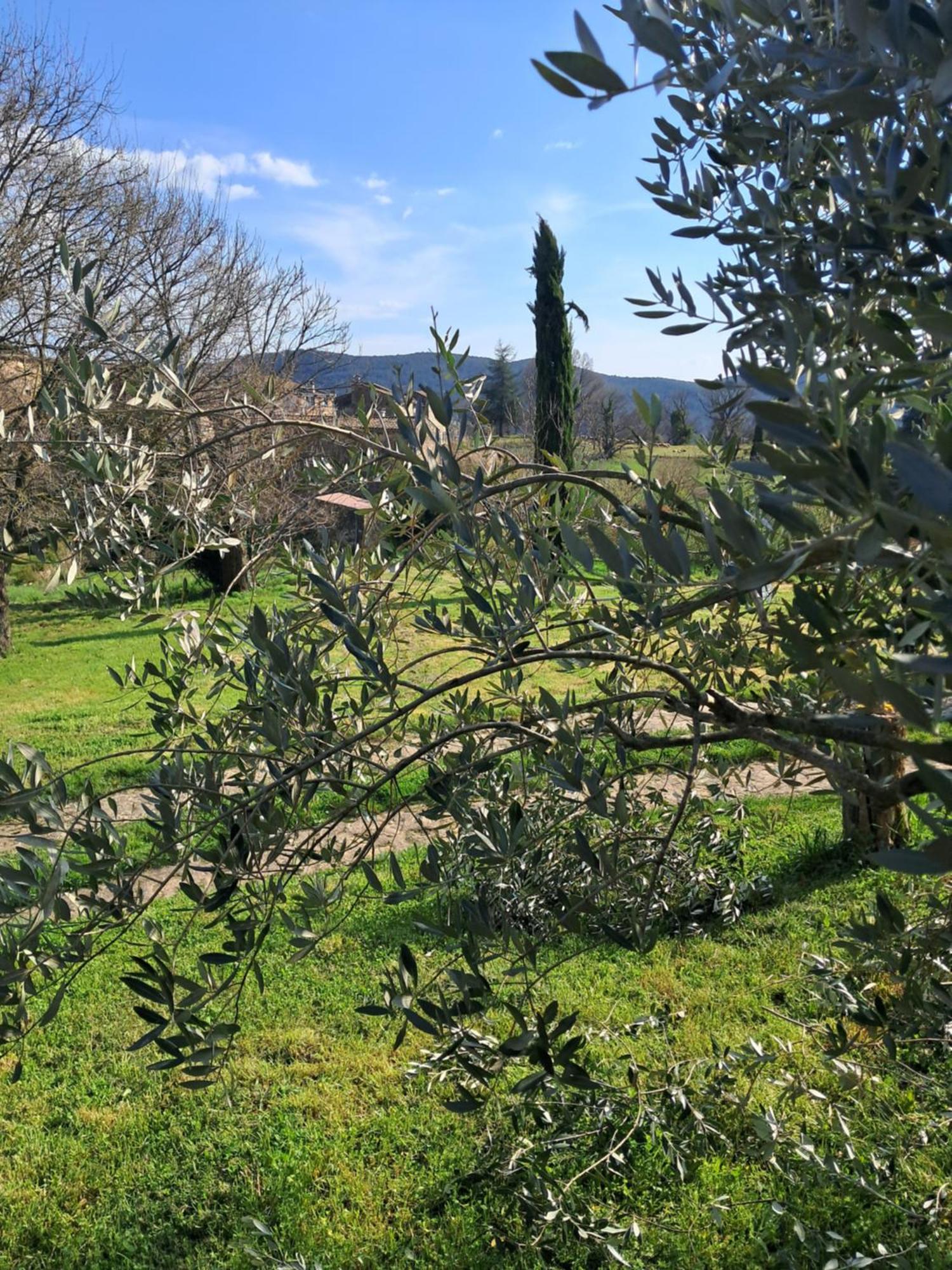 Chambre D'Hote Dans Mas Proche Anduze Cevennes Avec Piscine Mialet  Rom bilde
